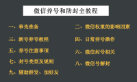 微信解封平台辅助养号防封解封全教程（建议收藏）