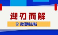 微信预加保号服务中是否包含账号恢复功能？